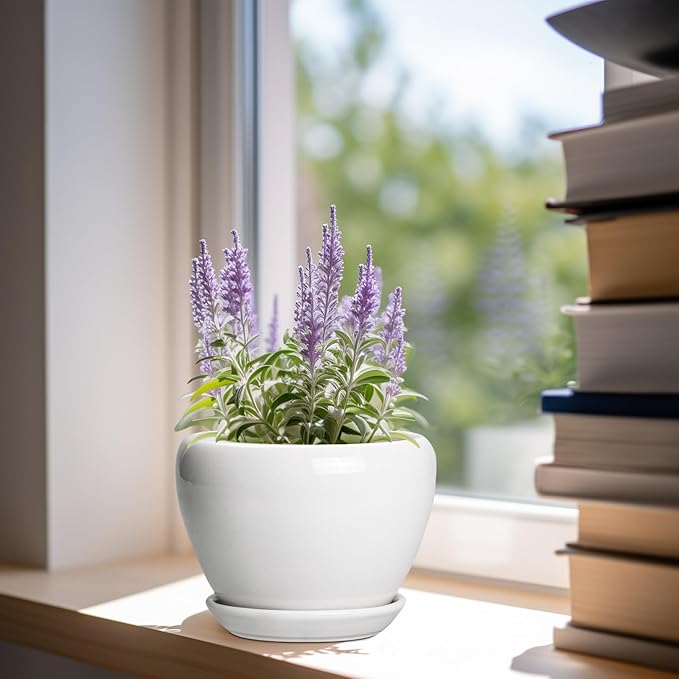 Ceramic Pot for Plants - Image 2