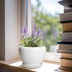 Ceramic Pot for Plants - Image 2