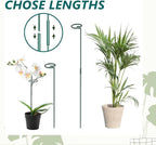 MAFONE 12 Pack 16inch Plant Support Stakes, Plant Stick Garden Single Stem - Image 7