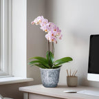 Ceramic Planter - Image 3