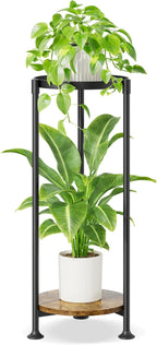 iDavosic.ly 2 Tier Corner Plant Stand Indoor, 30 Inch Tall Vertical Metal by iDavosicly