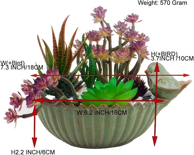 NWFashion Special Design Fun Garden 6INCH Flower Planter Succulent Pot Indoor - Image 2