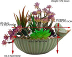 NWFashion Special Design Fun Garden 6INCH Flower Planter Succulent Pot Indoor - Image 2
