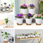 5 Pack 5 inch Self-Watering Pots, African Violets Planter - Image 3