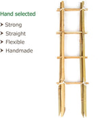Bamboo Trellis, 16in Ladder-Shaped Trellis - Image 2