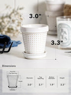 LE TAUCI 3 Inch Mini Succulent Pots - Image 4