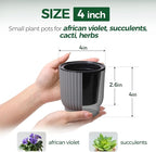 T4U 4 Inch Plant Pots Self Watering, 6 Pack African Violet Pots, Small Plant - Image 2