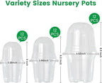 36 Packs 5/4/3.5 Inch Clear Nursery Pots - Image 2
