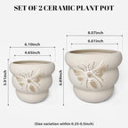 Terracotta Pots with Drainage Holes Bee Decor, Ceramic Pots - Image 6