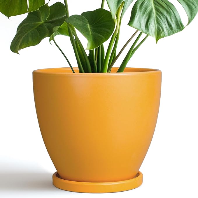 Ceramic Plant Pot by EPFamily