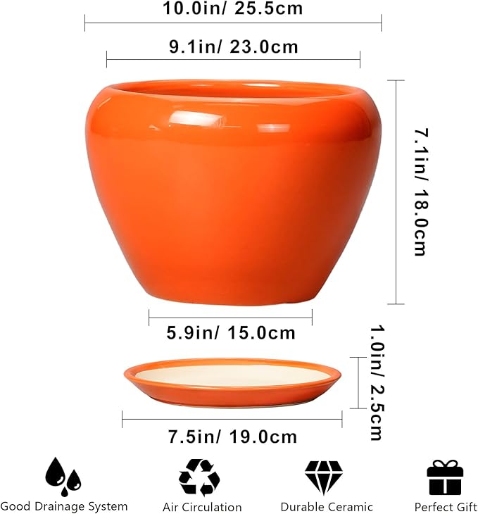 Ceramic Pot for Plants - Image 3