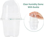 MIXC Clear Plant Nursery Pots - Image 2
