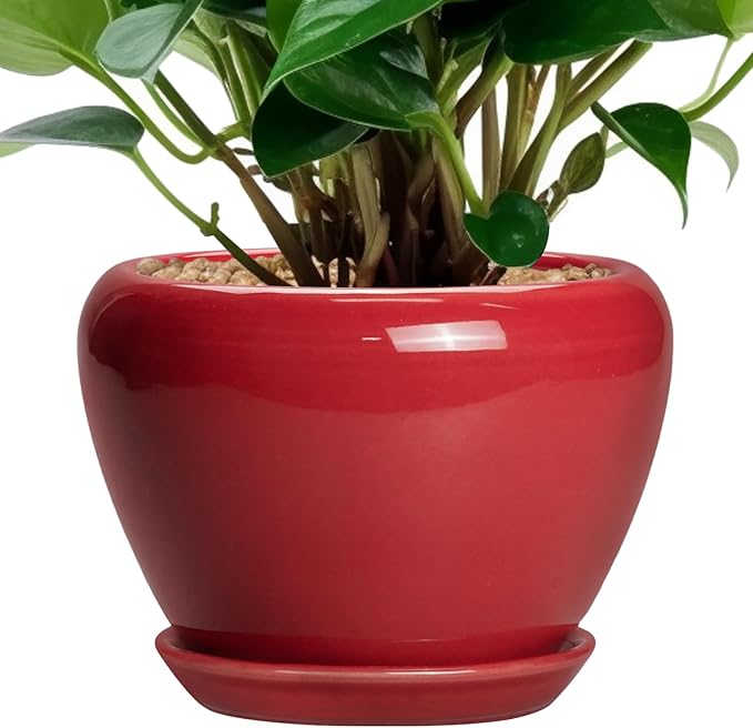 6 Inch Plant Pot by Ceramicfor