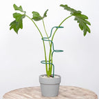 Set of 3 Sturdy Metal Plant Support Stakes by Goooxim