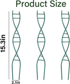 Indoor Plant Trellis - Image 2