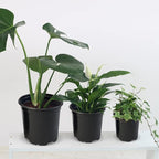 RAOOKIF 100 Pack Nursery Pots, 4 5 6 Inch Nursery Pot - Image 5