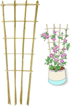 Natural Bamboo Trellis, Fan-Shaped Plant Support Trellis by GUANGYE