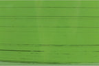 Garden Elements Indoor/Outdoor Glazed Brushed Happy Plastic Planter, Dark Green - Image 4