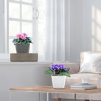 Self Watering Planters for Indoor Plants : 5 inch 6 Pack Grey Planter - Image 5