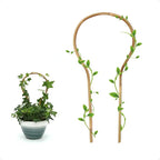 3Pack Bamboo Trellis 16 Inch Round Shaped Small Plant Trellis by Coloringyourleisuretime