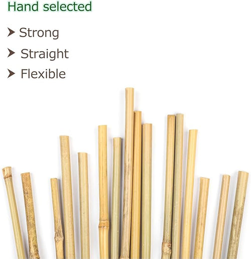 40pcs Natural Bamboo Sticks for Indoor and Outdoor Plants, 16 Inch Plant - Image 2