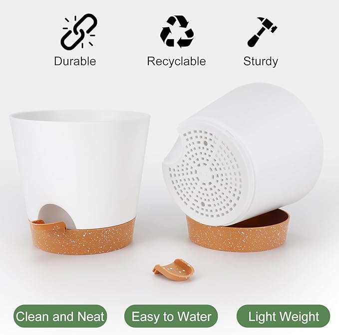 8-Inch Plant Pots, Self-Watering Planters - Image 3