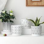 Ton Sin Plant Pots, 5.5 Inch White Pots - Image 5