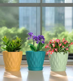 4 Inch Plant Pots, 6 Pack Indoor Flower Pots, Planters - Image 6