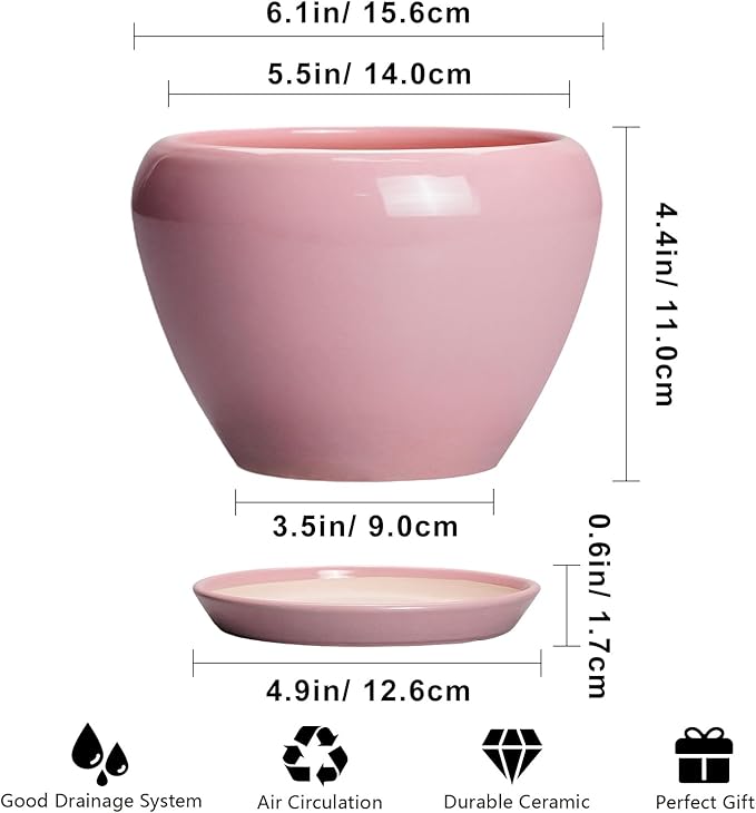 6 Inch Plant Pot - Image 3