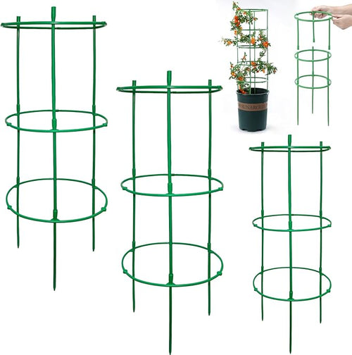 12 Packs Plant Support Stakes, Plant Support by Unknown