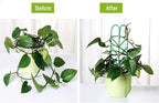 Garden Trellis for Climbing Plants 6 PCS Plastic Indoor Trellis for Potted - Image 2