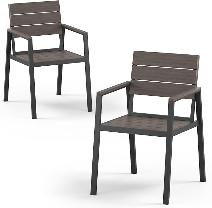Outdoor Patio Dining Chairs Set of 2, 350LBS Capacity Aluminum Patio Dining by Oasbira