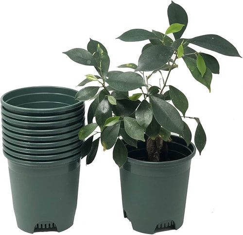 30-Pack Wholesale Nursery Pot in Bulk 5.5 Inch 0.5 Gallon Plastic Planters by CottaPlanters