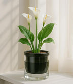 D'vine Dev 6 Inch Design Self Watering Planter - Image 2