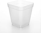 120 Packs Square Clear Nursery Pots - Image 8