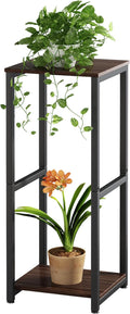 Plant Stand Indoor Corner Tall 2 Tier Metal Modern Flower Storage Plant Shelf by YIZAIJIA
