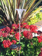 Solar Garden Stake Lights with Color Changing LED or Regular White LED by Ntertainment+House