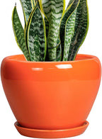 Indoor Plant Pot 8 Inch by Ceramicfor