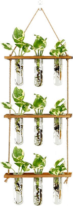 XXXFLOWER Wall Hanging Propagation Station by XXXFLOWER