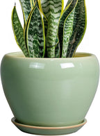8 Inch Plant Pot by Ceramicfor