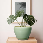 Ceramic Planter Pot - Image 7