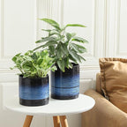 Nihow Ceramic Plant Pot: 6 Inch Planter - Image 5