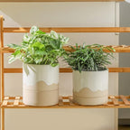Nihow Ceramic Plant Pot: 6 Inch Planter - Image 4