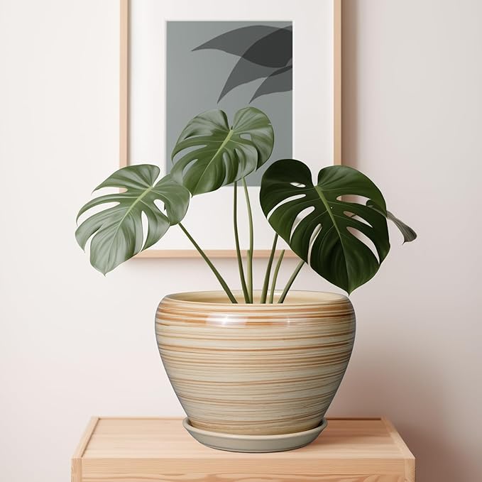 Ceramic Pot for Plant 10 Inch - Image 6