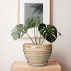 Ceramic Pot for Plant 10 Inch - Image 6