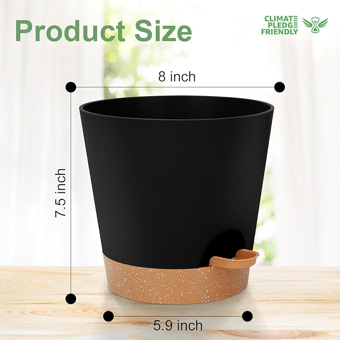 8-Inch Plant Pots, Self-Watering Planters - Image 4