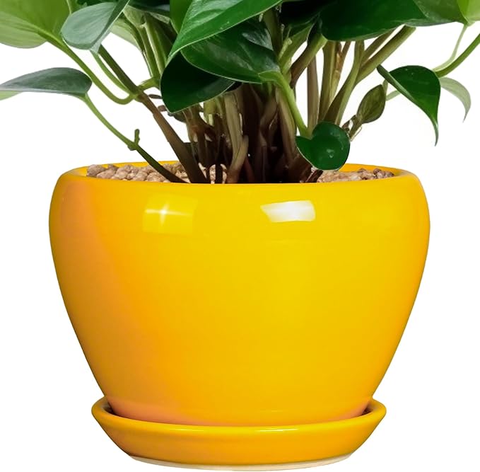 Ceramic Pot for Plants by Ceramicfor