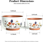 YBX 8 Inch & 6 Inch Terracotta Plant Pots, Flower Pots - Image 6