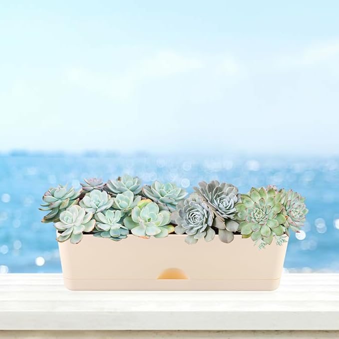 6 Pack Rectangle Planter 16x4.4 Inch Window Boxes Planters Rectangular Large - Image 7