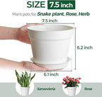 T4U 7.5 Inch Plant Pots 6 Pcs, Flower Pots - Image 2